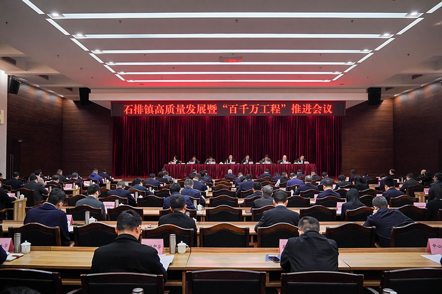 双项殊荣！盛世集团电声荣登石排镇2024年度“双十强”榜单
